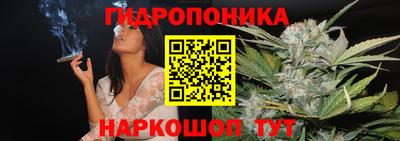 сатива Рязань
