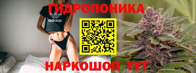 PSILOCYBIN Рыбинск