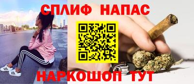 сатива Рязань