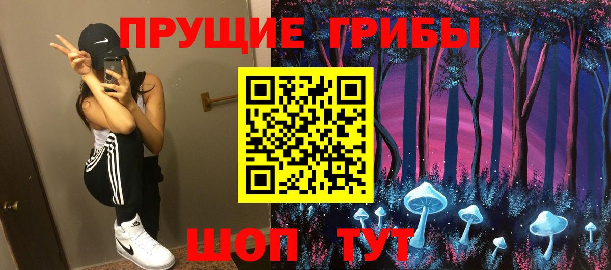 Галлюциногенные грибы Psilocybine cubensis Симферополь