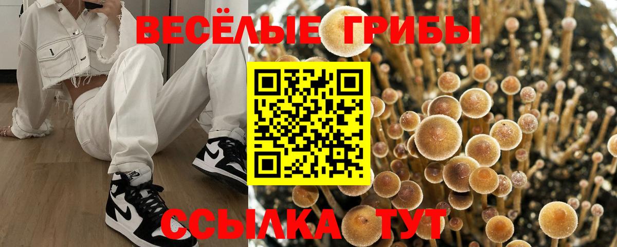 Псилоцибиновые грибы Cubensis  Вход с VPN  Симферополь 