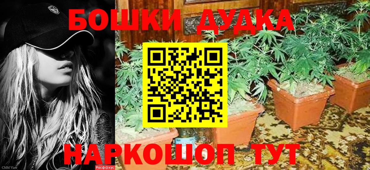 Бошки Шишки OG Kush  Шишки марихуана OG Kush  Вход с VPN  Бошки марихуана White Widow  Симферополь 